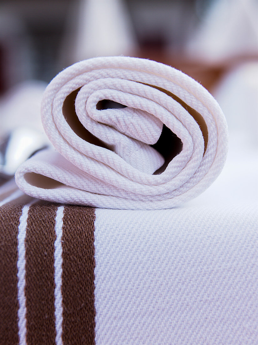 Rolled up cloth napkin