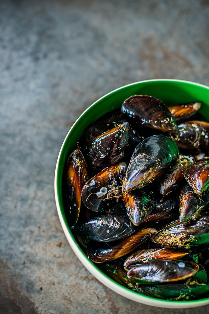 Mussels in bowl