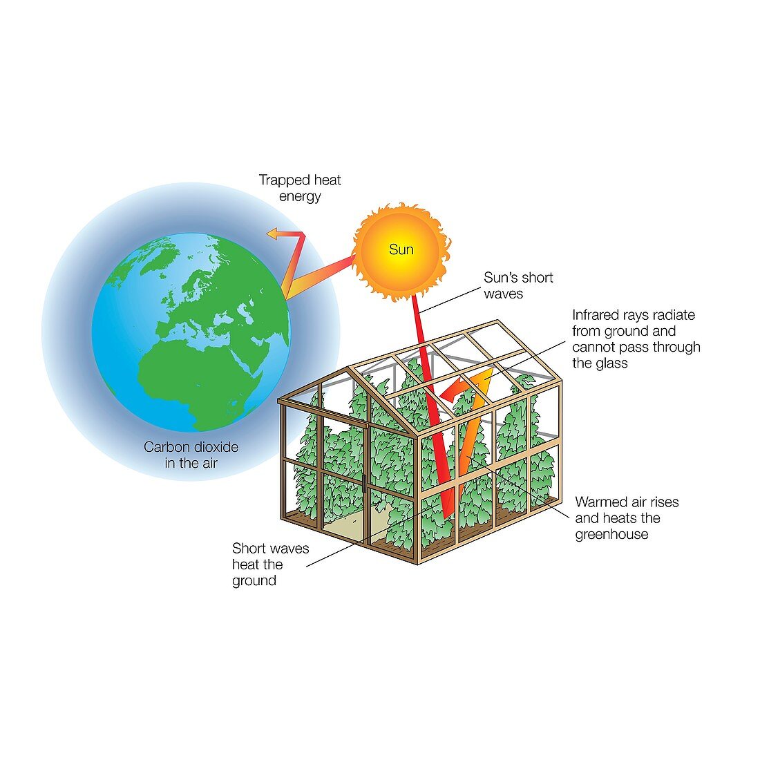 Greenhouse effect, illustration