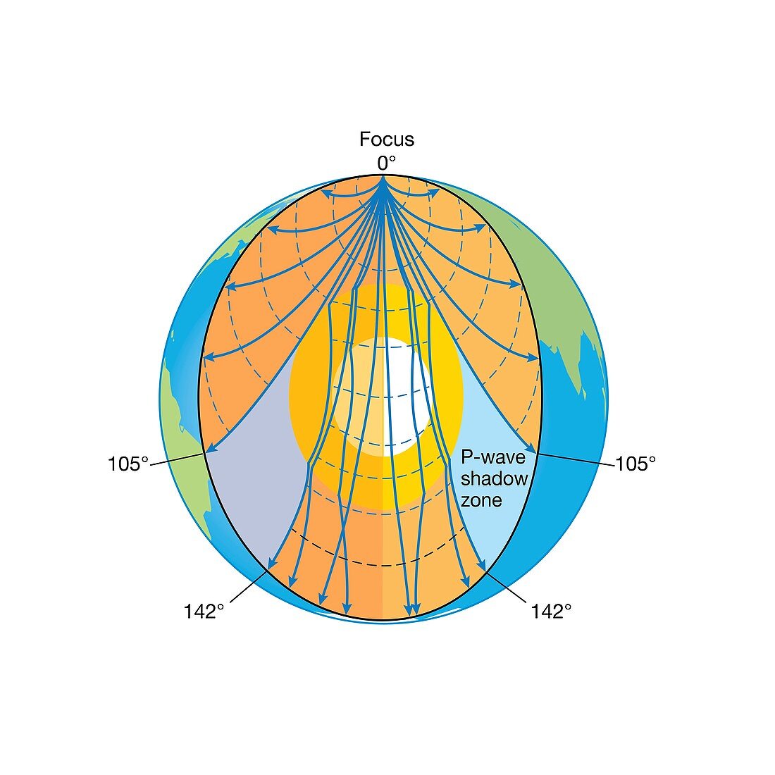 Seismic P-wave propagation, illustration
