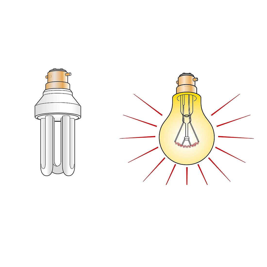 Fluorescent and incandescent light bulbs, illustration