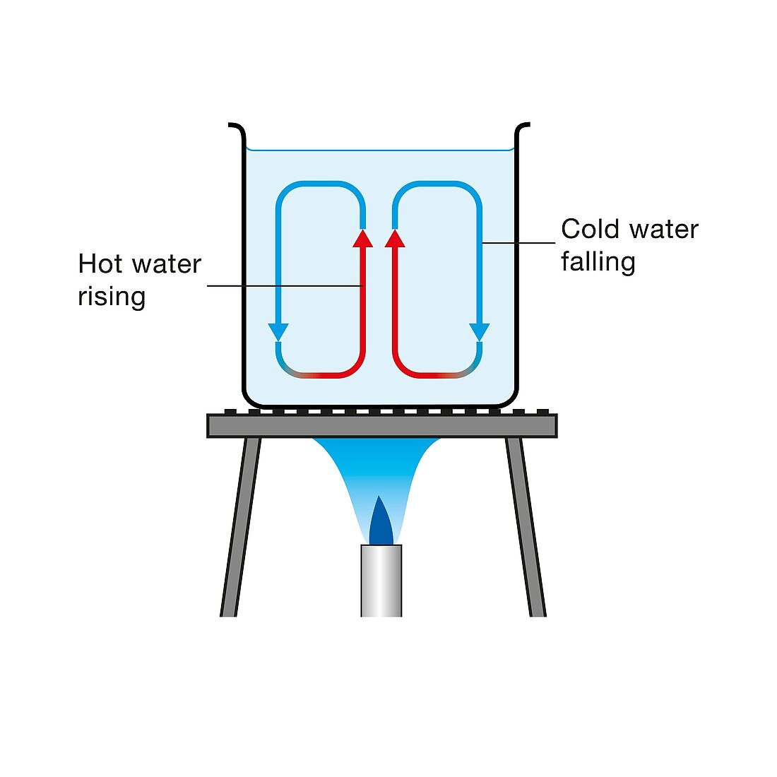 Convection current in heated water, illustration