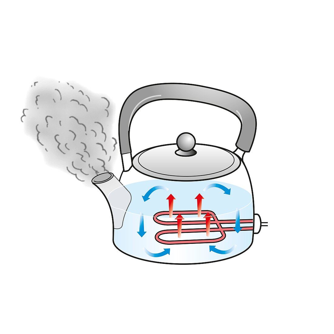 Convection currents in a kettle, illustration