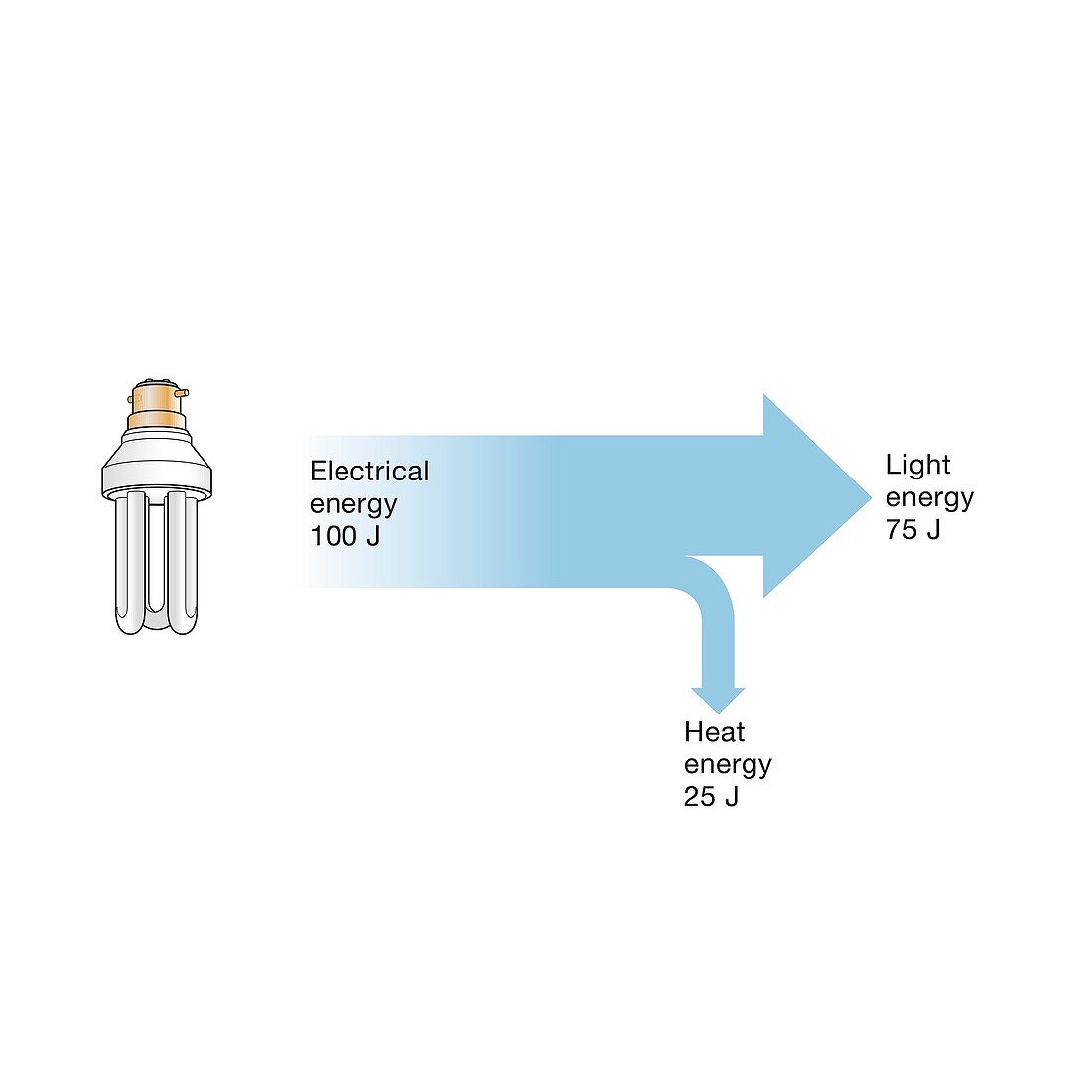 Fluorescent light bulb efficiency, Sankey diagram