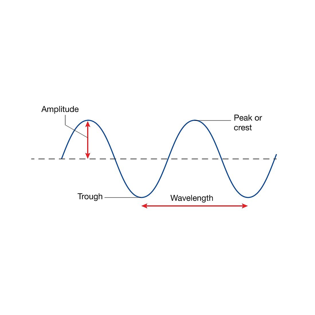 Wavelength and amplitude, illustration