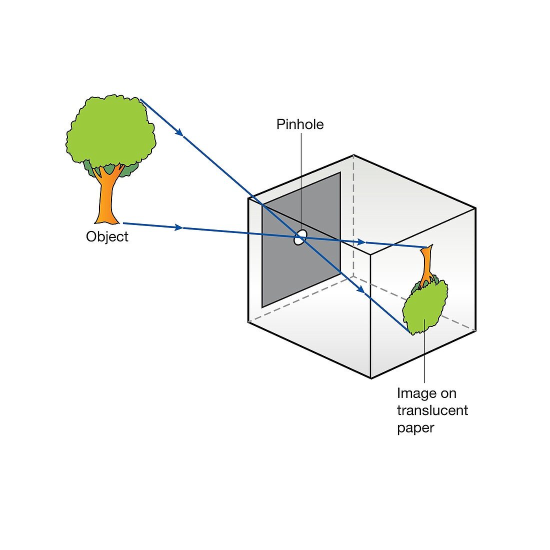 Pinhole camera, illustration