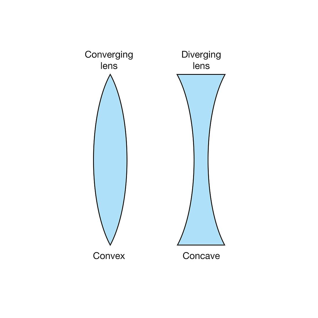 Convex and concave lenses, diagram