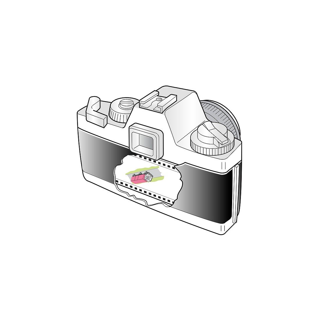 Camera with inverted image, cutaway artwork
