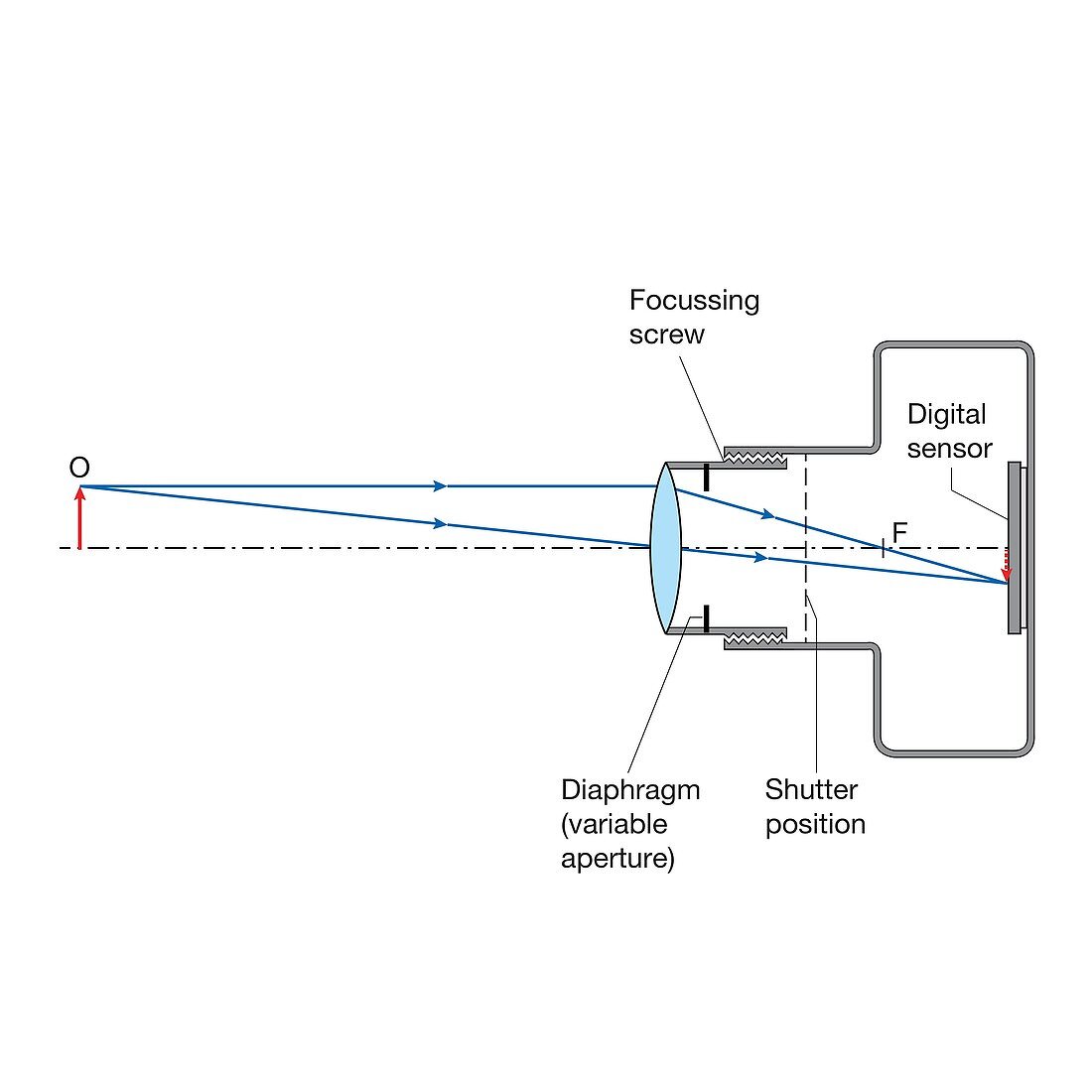 Camera with inverted image, illustration