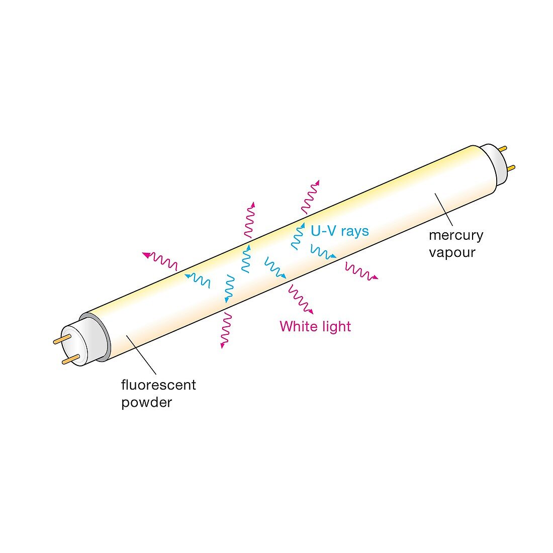 Fluorescent tube lighting, illustration