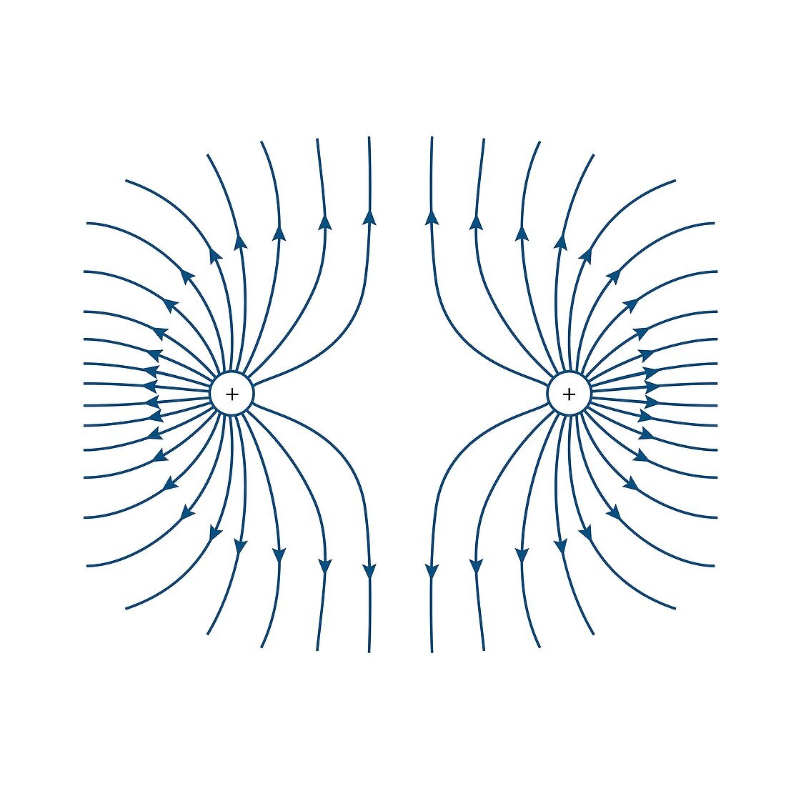 Electric field lines, illustration