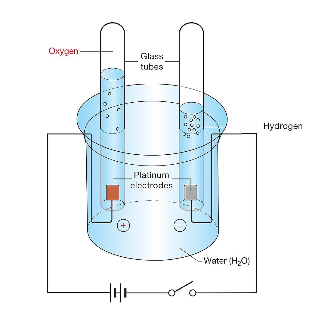 Electrolysis of water, illustration