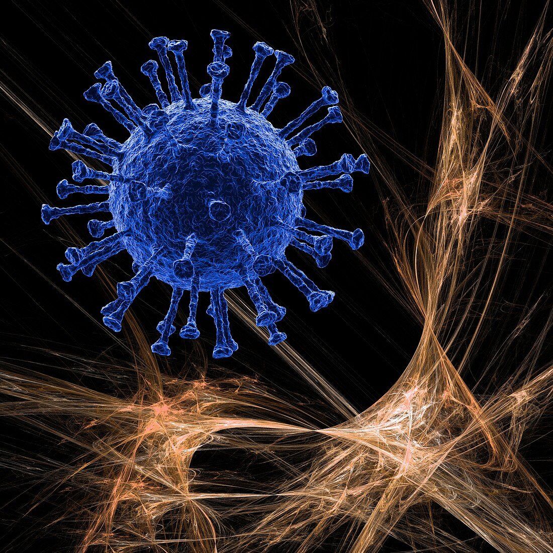 Virus capsid, conceptual illustration