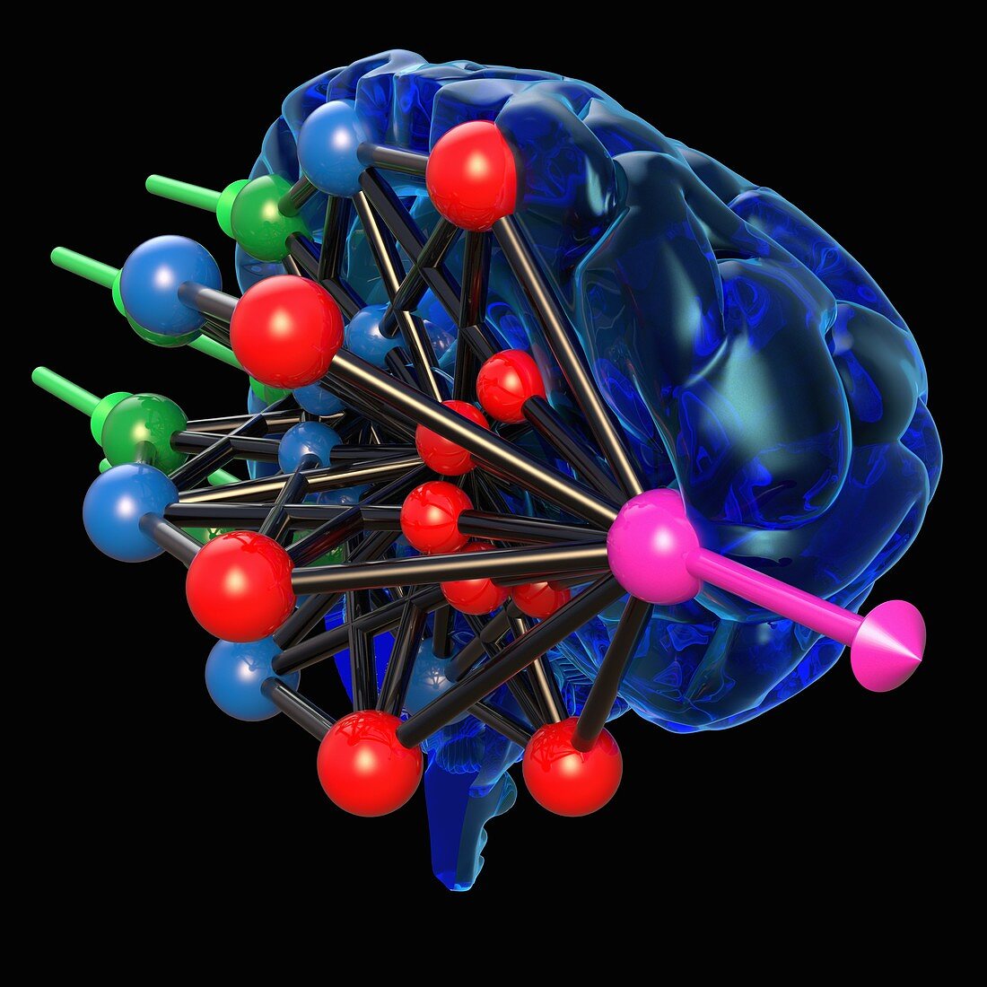 Brain with neural network, illustration