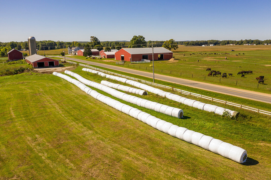 Plastic wrapped hay, aerial photograph