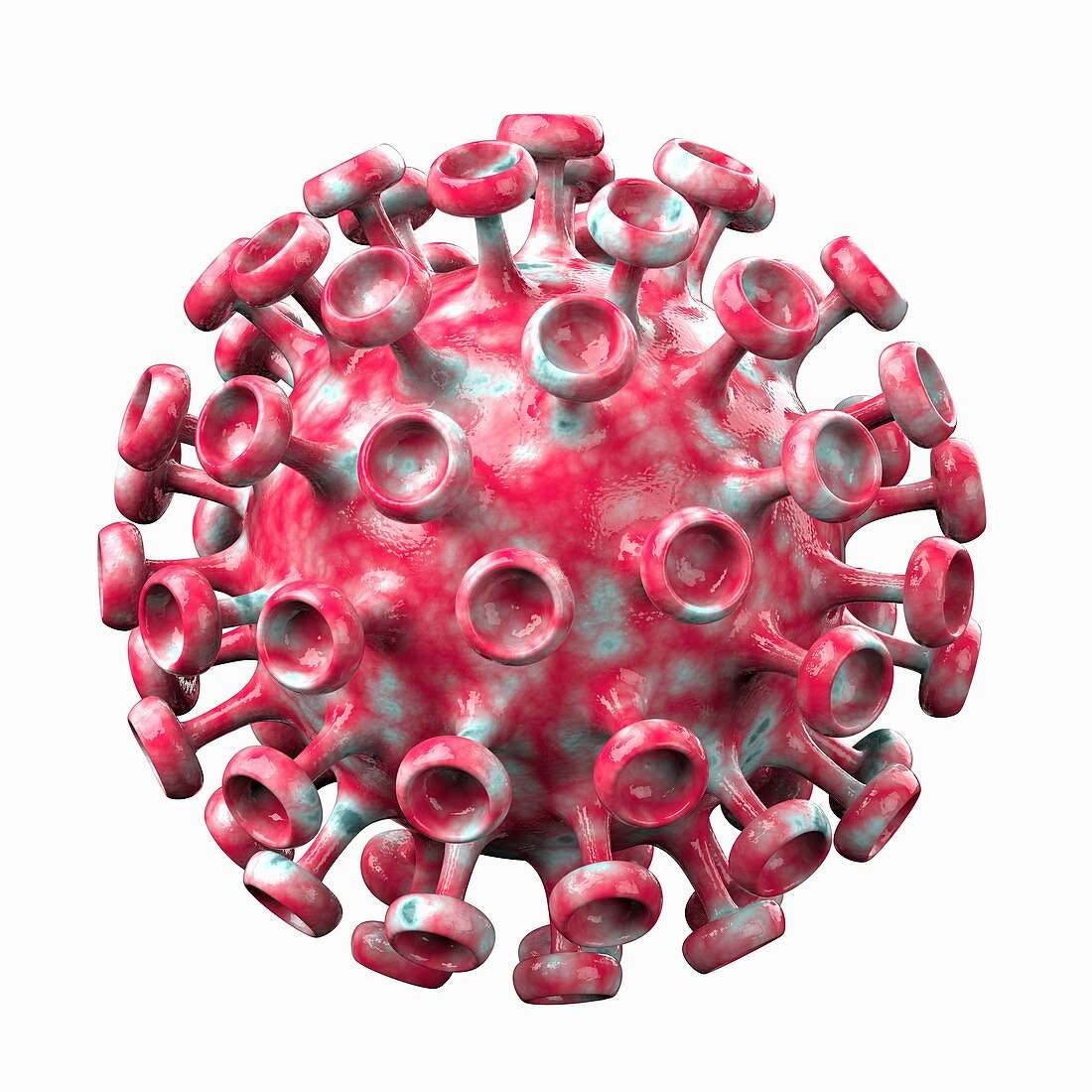 Virus capsid, conceptual illustration