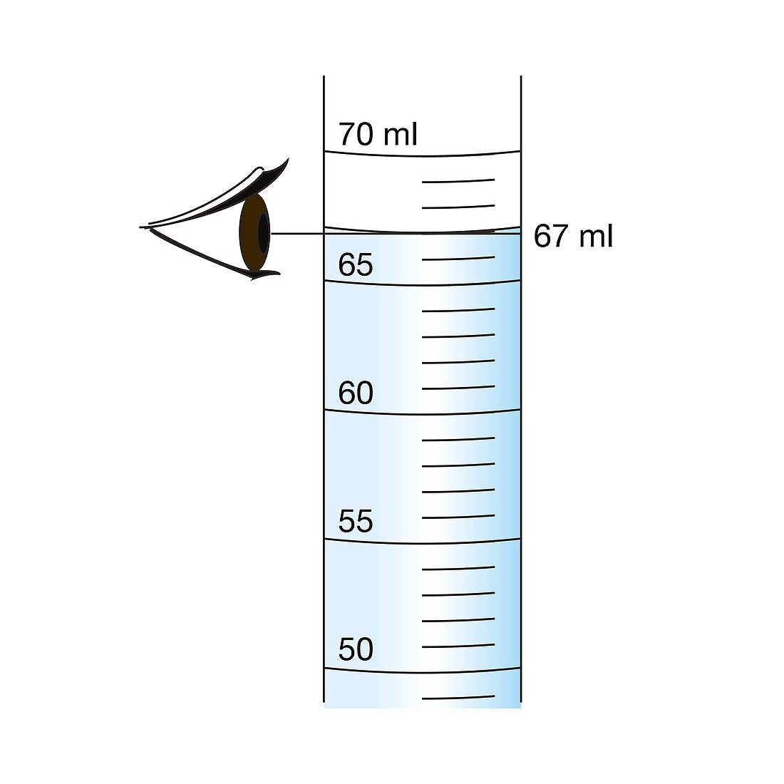 Measuring a liquid avoiding parallax error, illustration