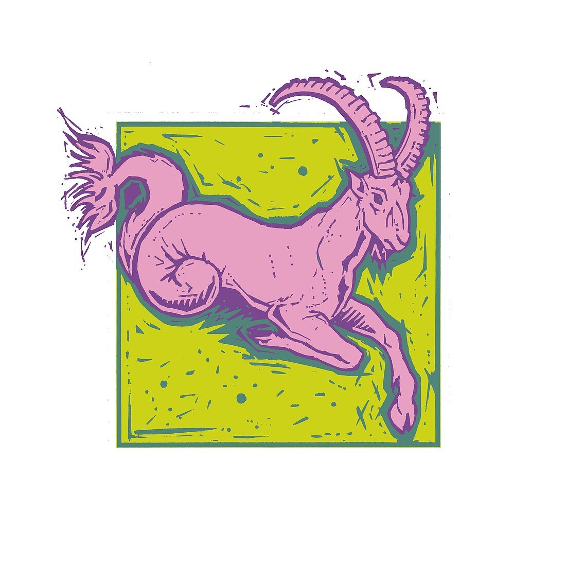Capricorn zodiac sign, illustration