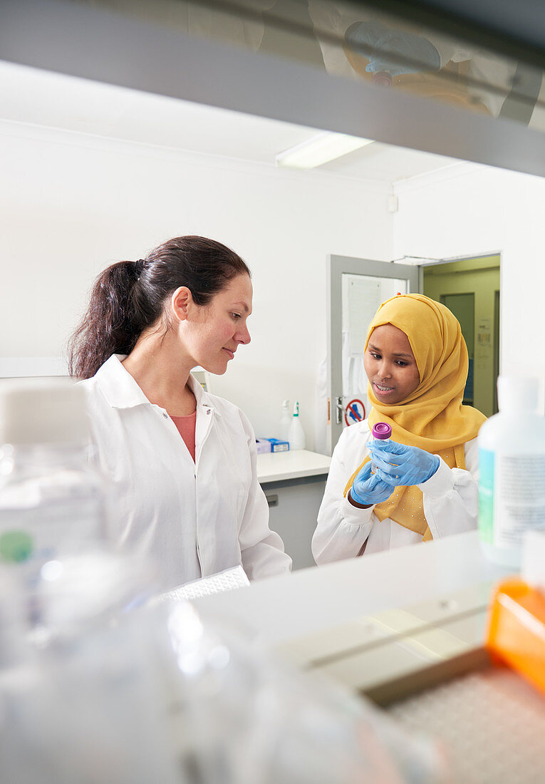 Female scientists talking in laboratory