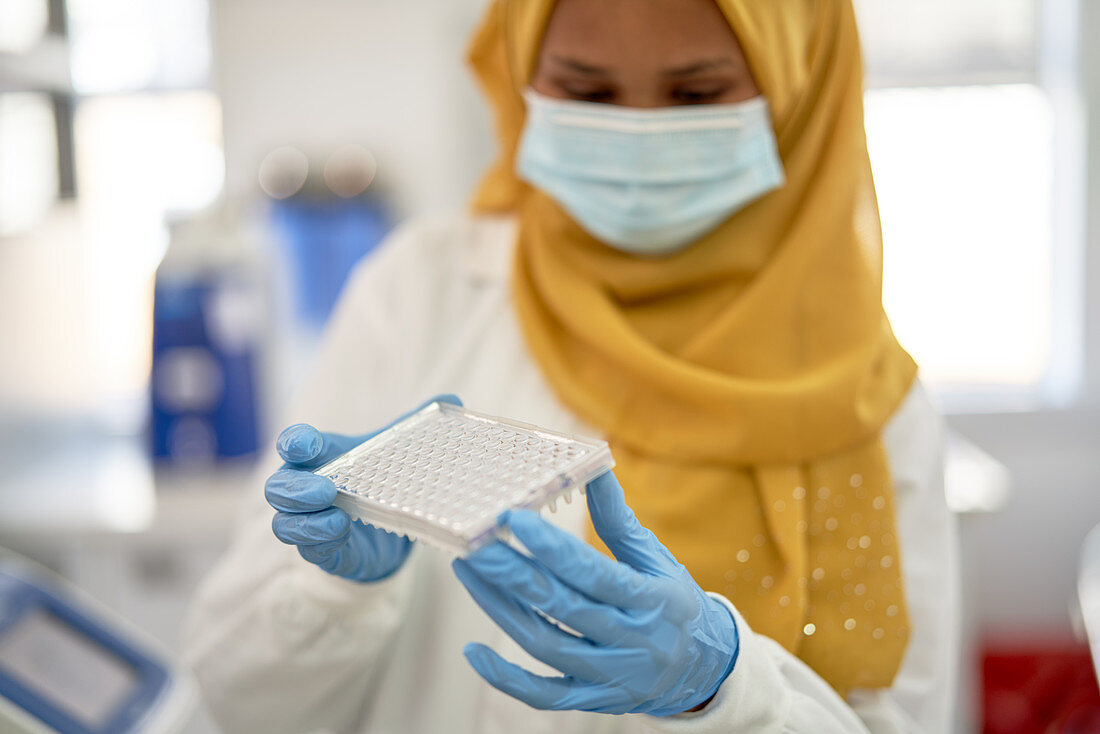 Female scientist in hijab and face mask with specimen tray