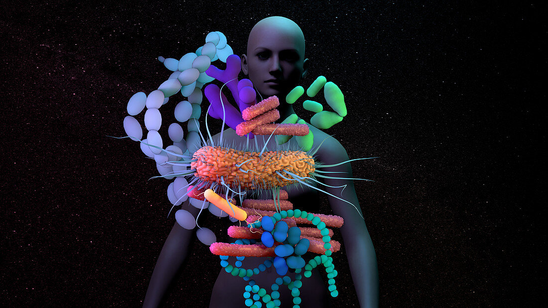 Human microbiota, conceptual illustration