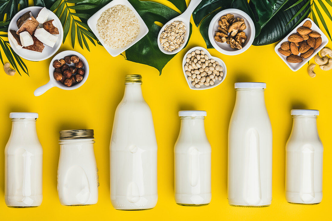 Verschiedene Milchersatzgetränke und Zutaten