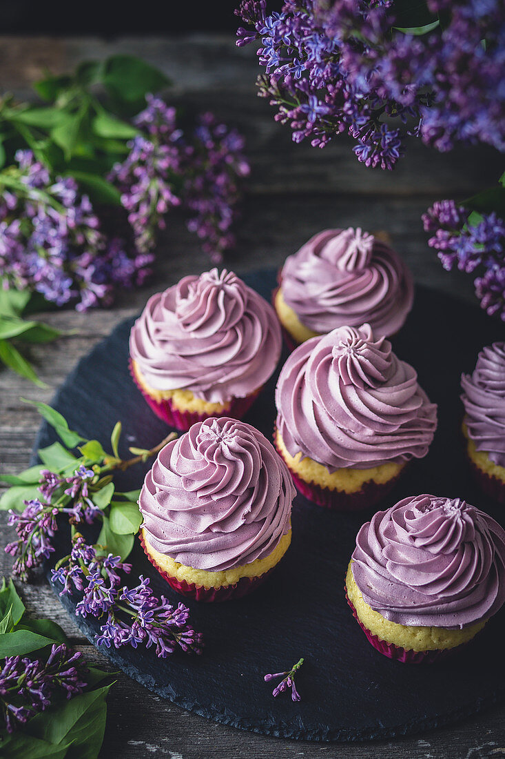 Vanille-Cupcakes mit lila Frosting