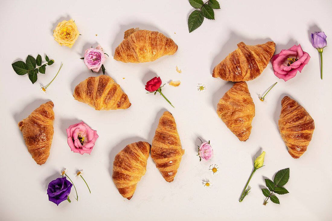 Mini croissants and flowers on white background