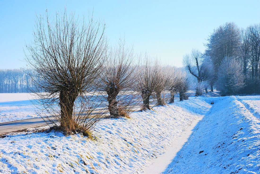 Snow-covered landscape