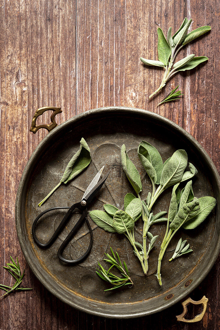 Fresh Herbs in a Tray