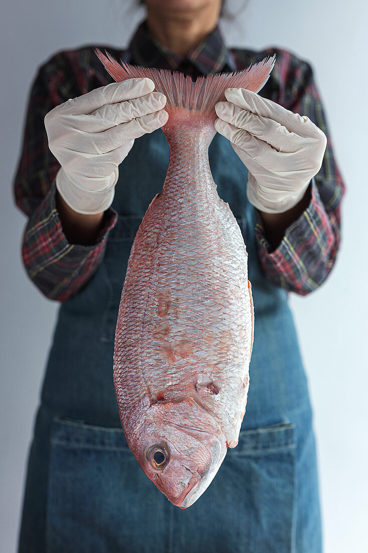 Person holds raw bream fish