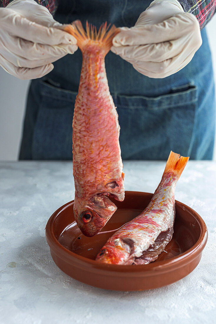 Person holds raw Mullus fish