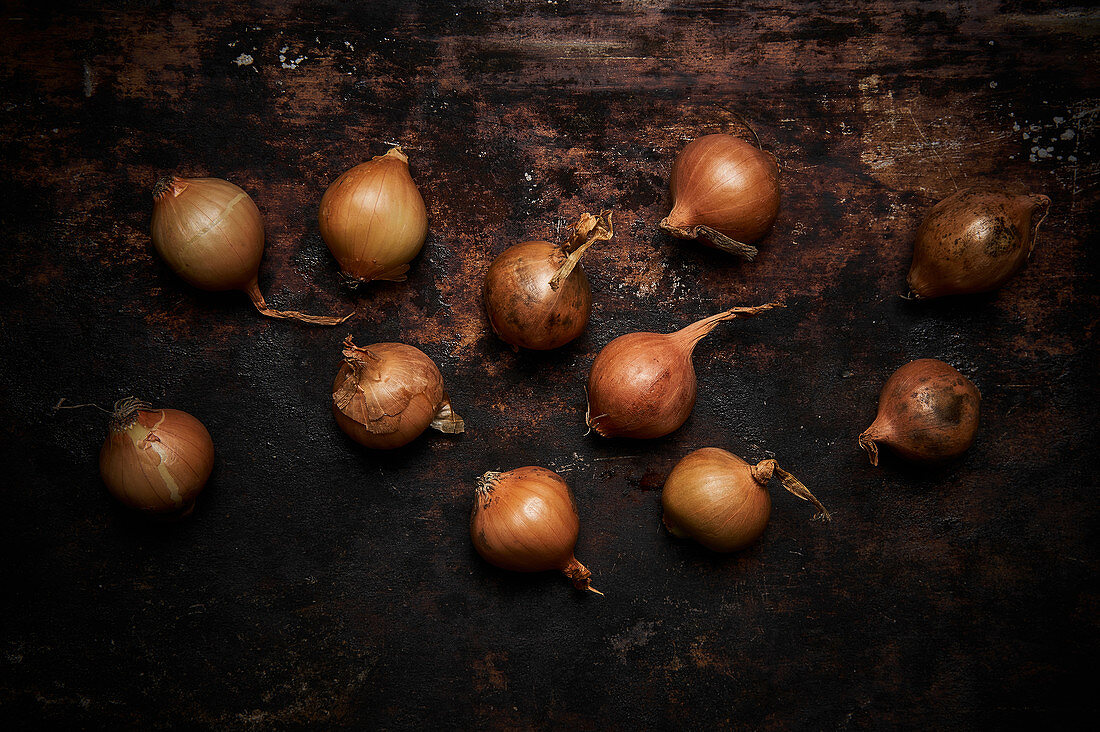 Zwiebeln auf dunklem Holzuntergrund