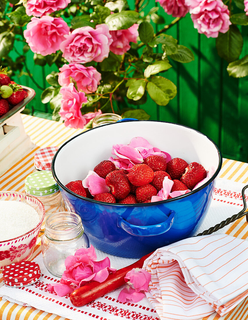 Frische Erdbeeren mit Rosenblütenblättern in Emaillegefäß