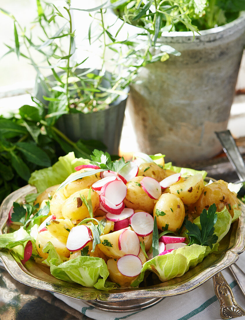 Kartoffelsalat mit Radieschen, Estragon und Petersiliendressing
