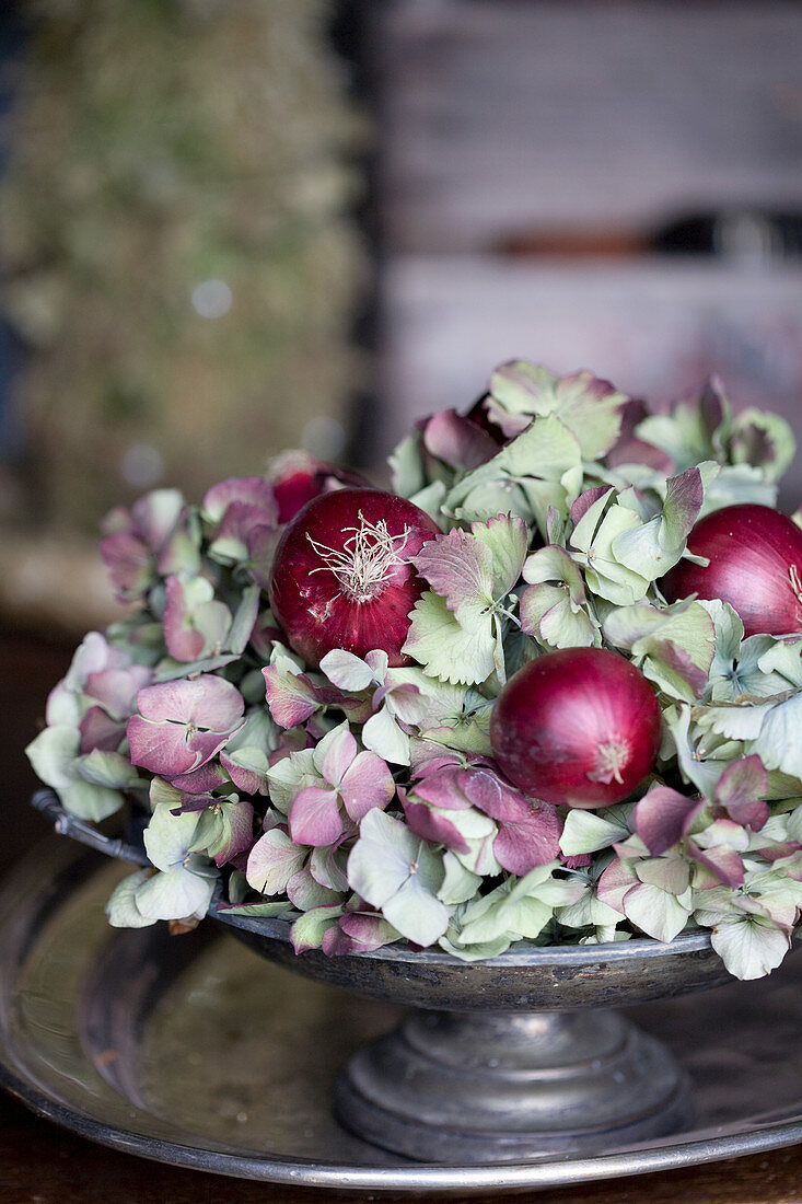 Rote Zwiebeln und Hortensienblüten auf Zinn-Schale