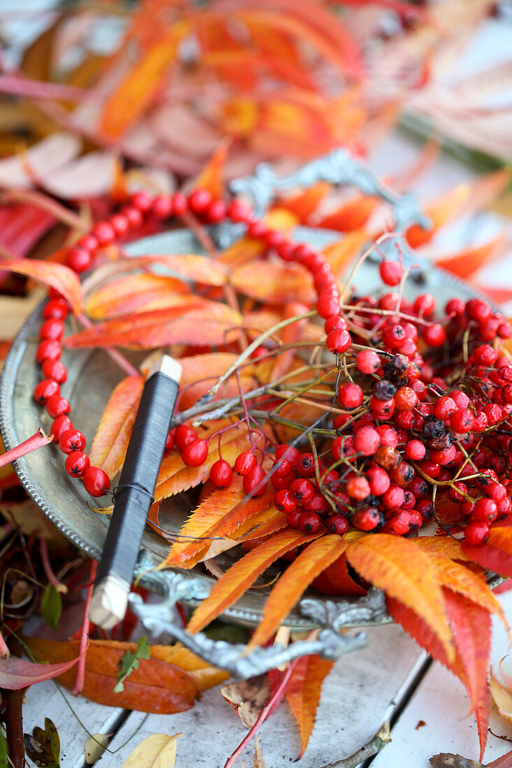 Rote Beeren auf Draht fädeln