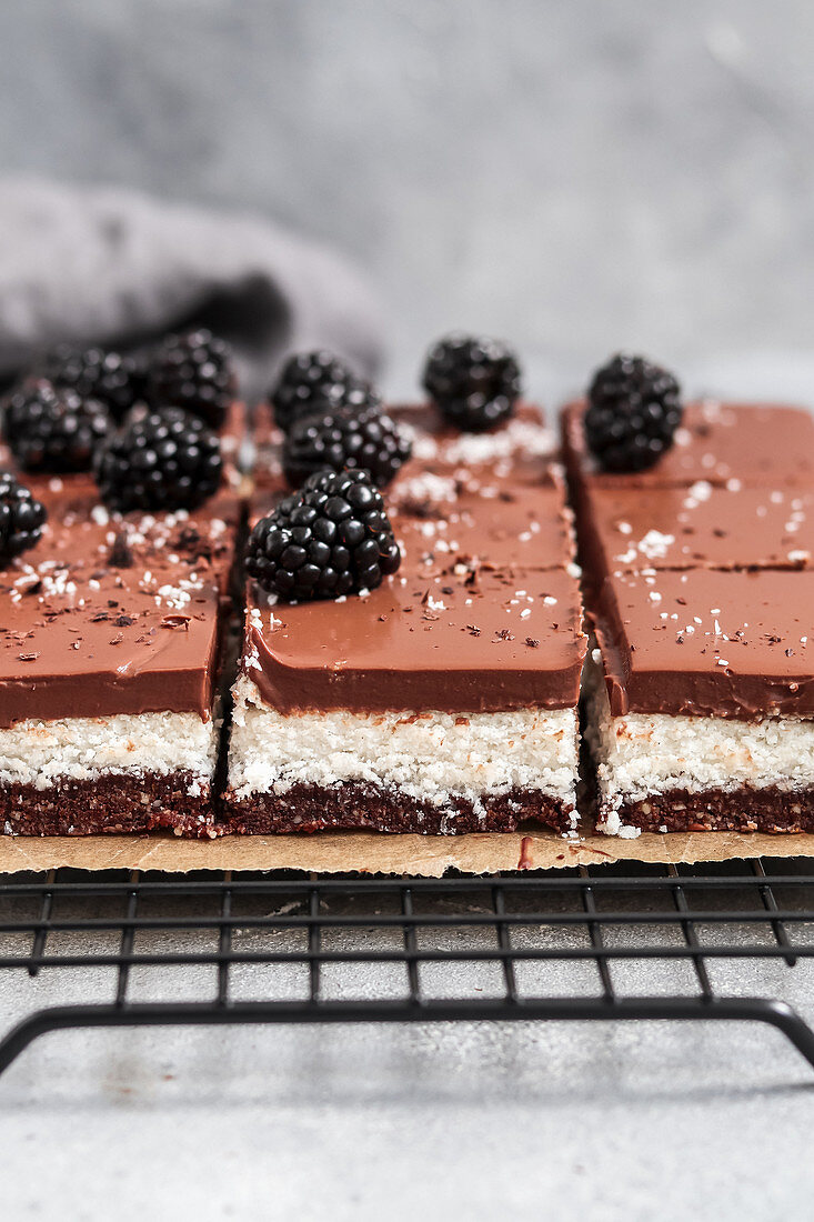 Raw Chocolate Coconut Bars with chocolate ganache (vegan)