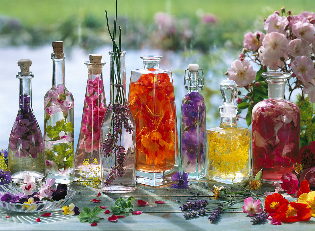 Still life with different kinds of flower vinegar