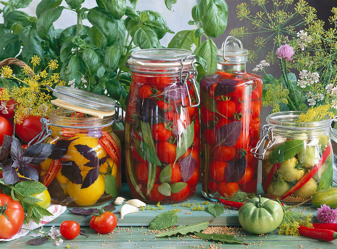Preserving jars with red, yellow and green tomatoes