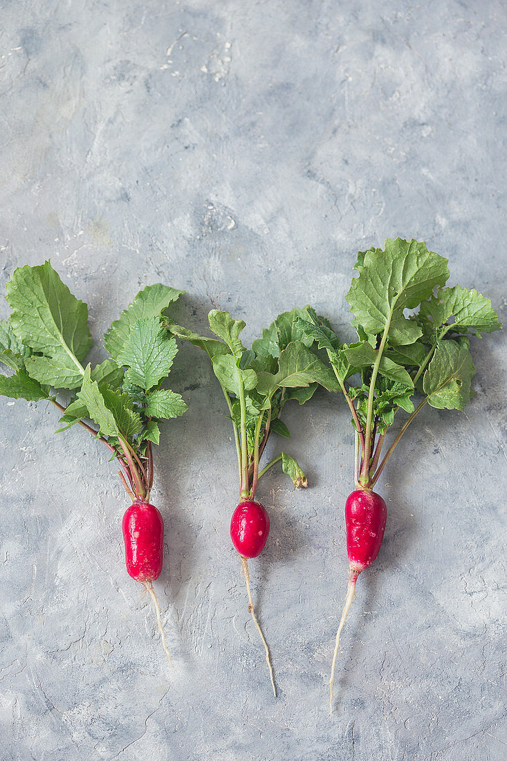 Fresh raw radish (flatlay)