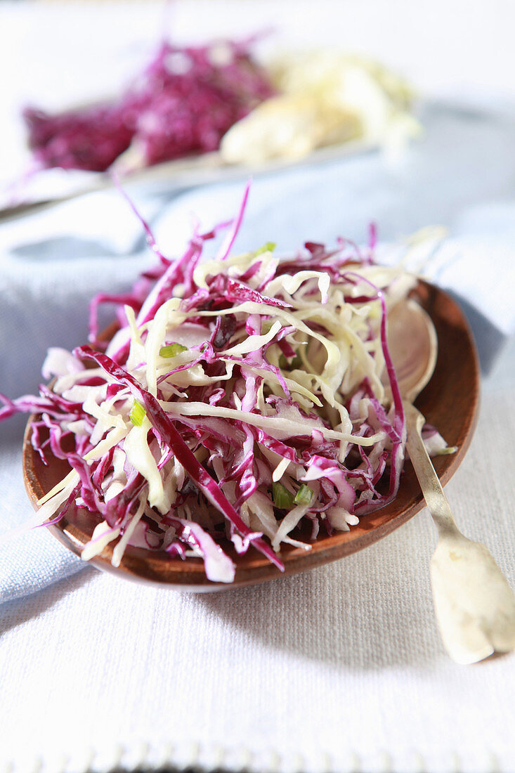 Red and white cabbage salad