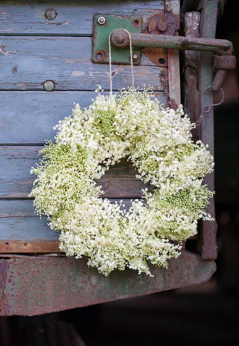 White wreath of elderflowers