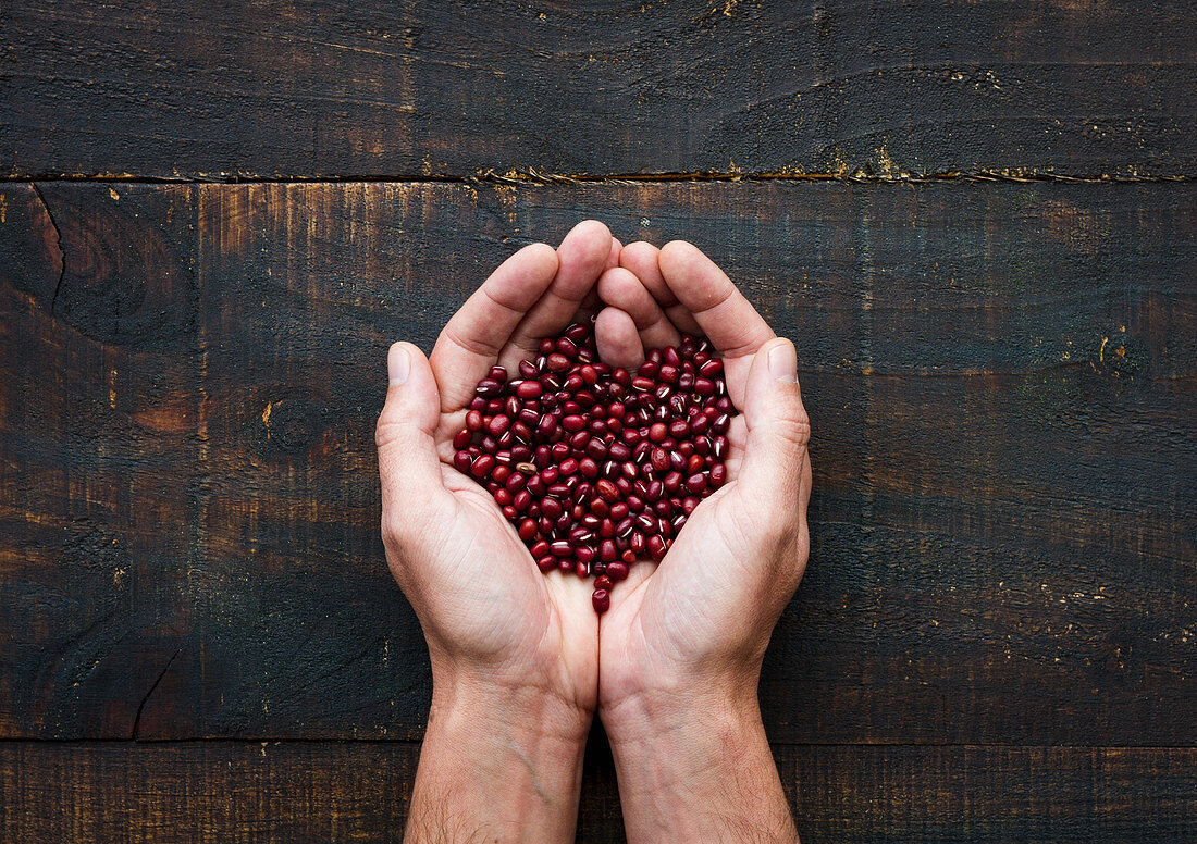 Hands holding dry beans