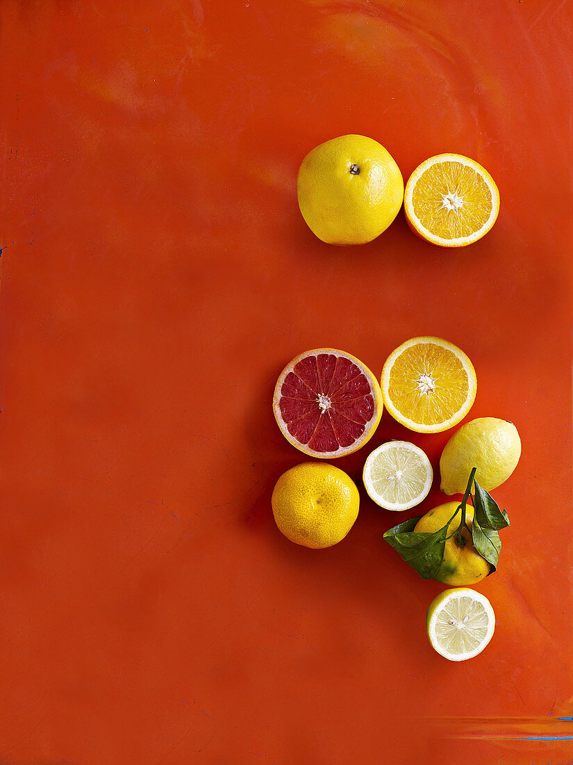 Grapefruits und Zitronen