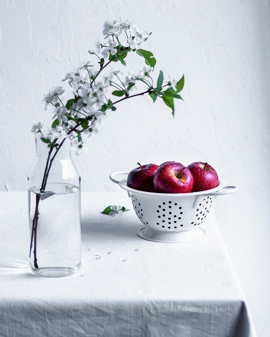 Rote Äpfel im Standsieb auf Tisch daneben Apfelblütenzweige in Glasvase