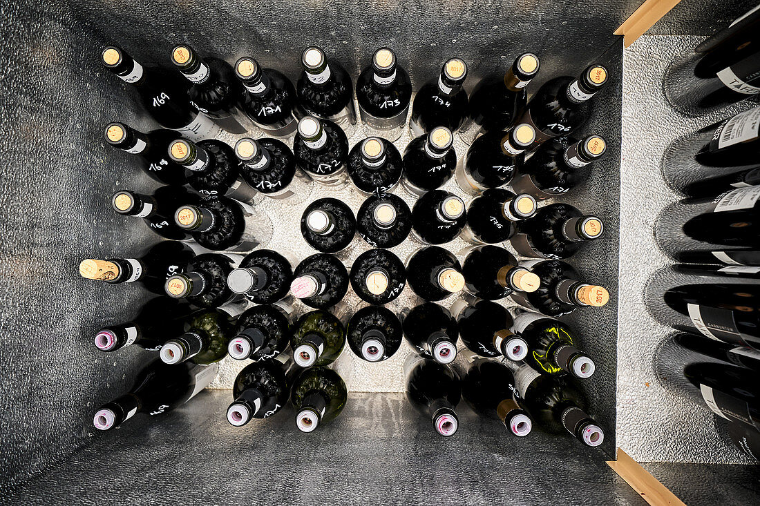 Wine bottles for wine tasting in coolers