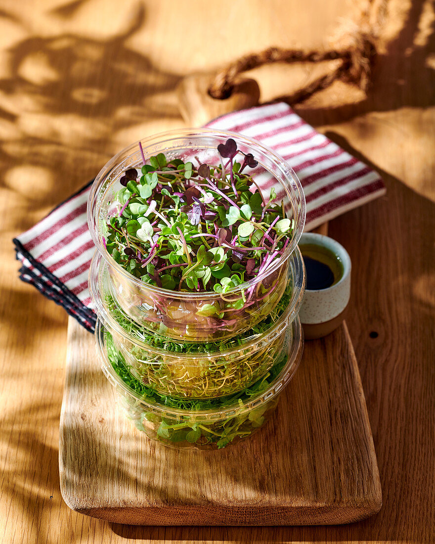 Sprossensalat mit Feta