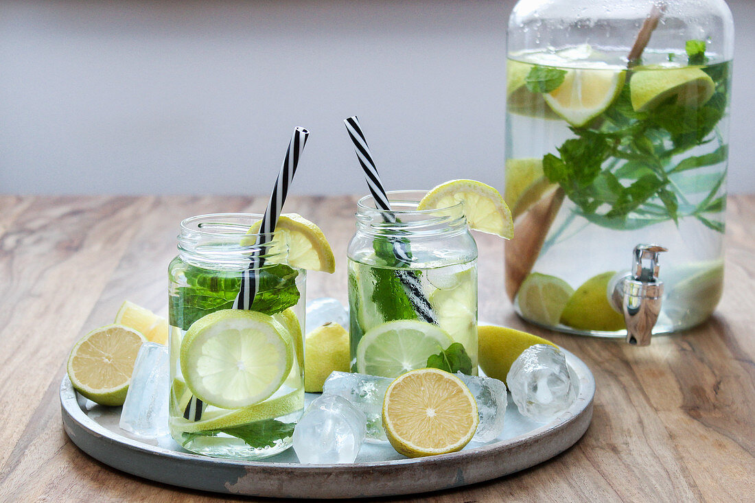 Homemade lemonade with fresh mint