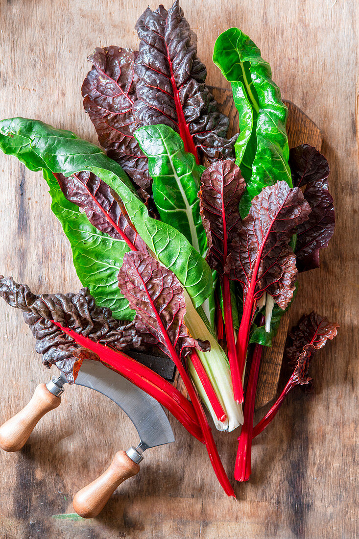 Swiss chard